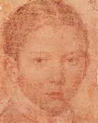 VELAZQUEZ, Diego Rodriguez de Silva y Head-Portrait of Young boy Spain oil painting artist